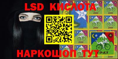 шишки Заволжье