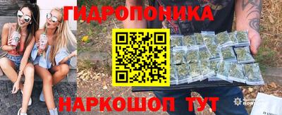 гашик Заводоуковск