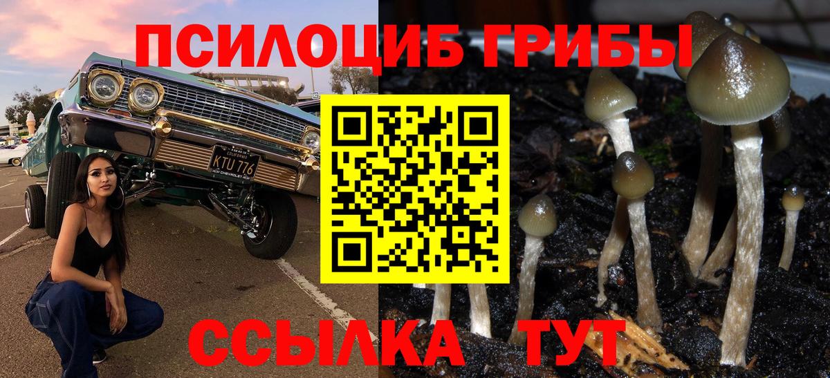 Псилоцибиновые грибы мицелий  Вход с VPN  Лянтор 