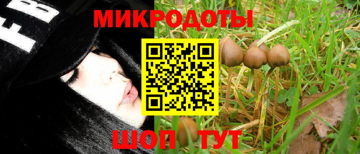 Псилоцибиновые грибы мухоморы Лянтор